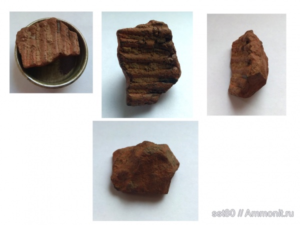 Помогите в определении