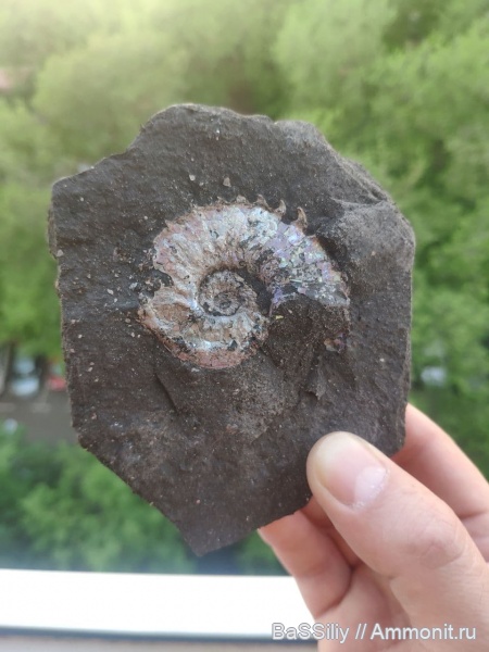 Метро Народное ополчение