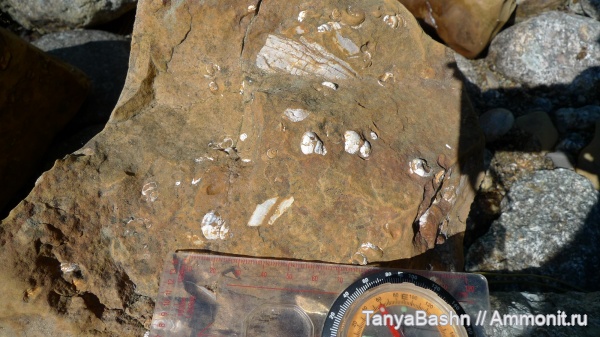 Половинкинский разрез, Бурятия