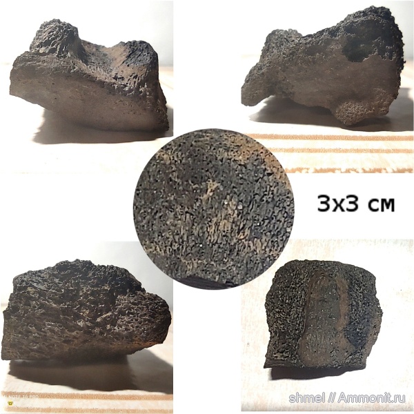 р. Шмелевка