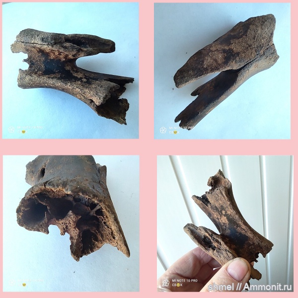 Москва, р. Шмелевка