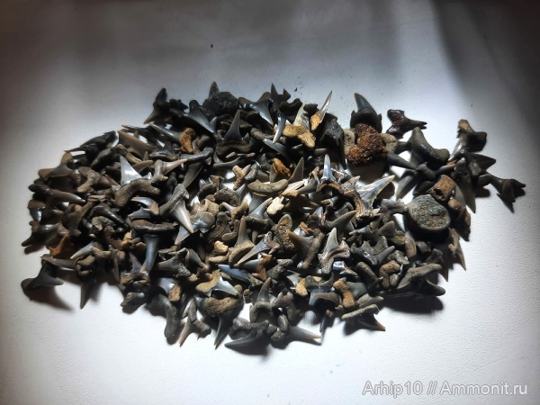 мел, мезозой