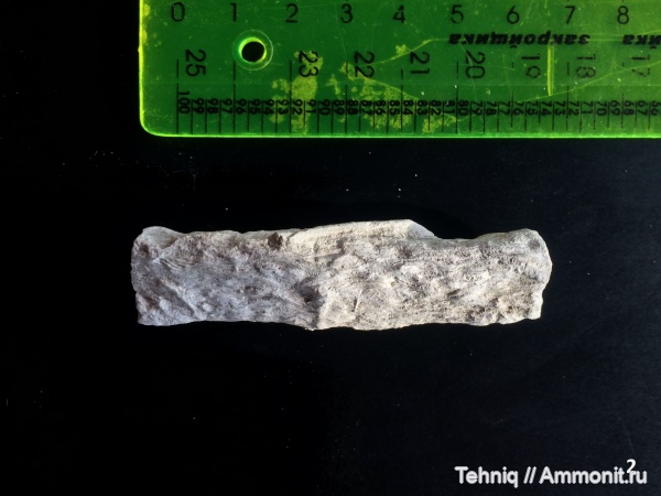 Саратовская область