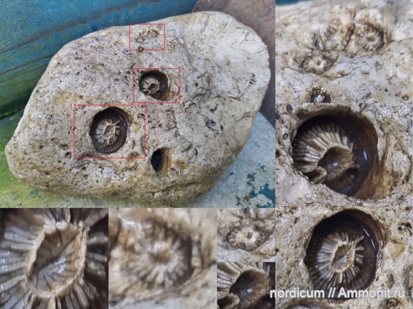 Находка в Смоленской области