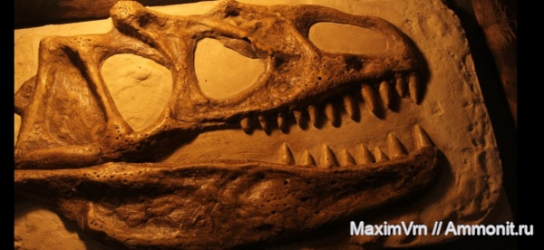 динозавры, юра, гипс