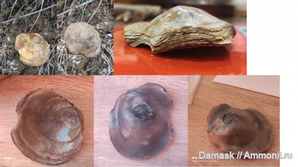 Елатьма, Касимов