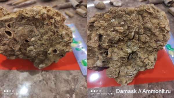 Елатьма, Касимов