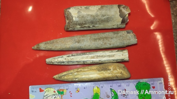 Елатьма, Касимов