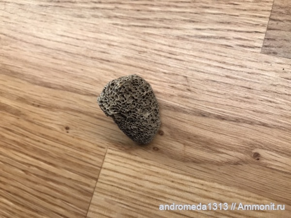 Находки в Судовской