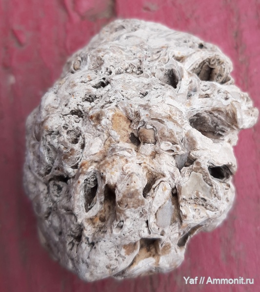 Неизвестные находки