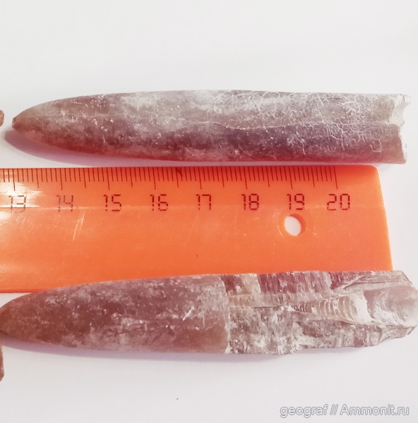 белемниты, р. Хопер, меловые осыпи