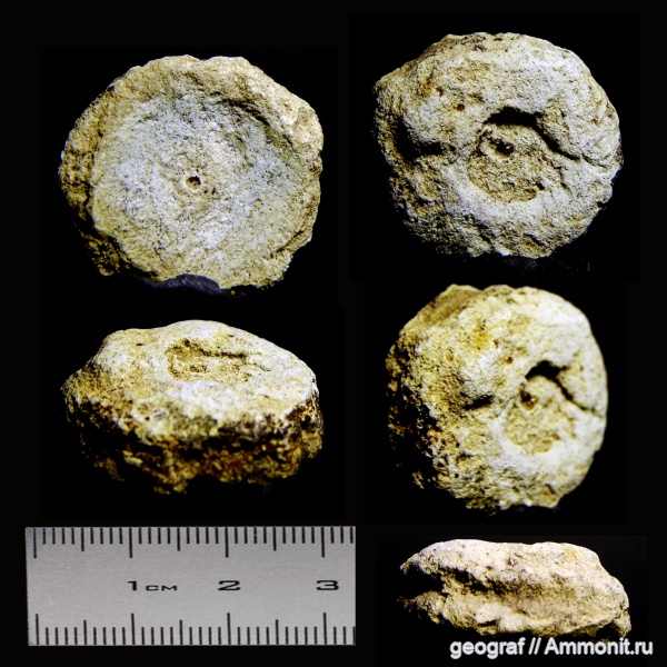 палеоген, меловые осыпи, Хопер