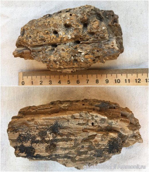 Украина, Изюм, Jurassic