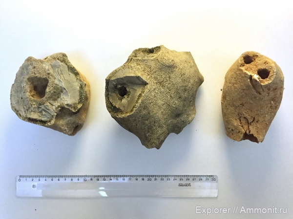 мел, мезозой, Грузия, Рача, шаорское водохранилище