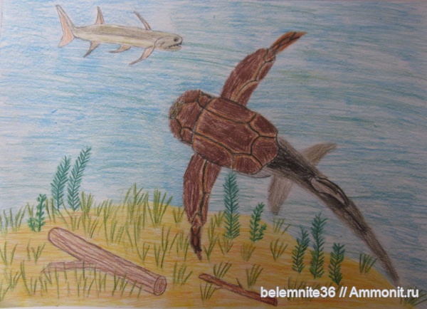 девон, рыбы, Devonian, Placodermi, Bothriolepis, fish, Acanthodei