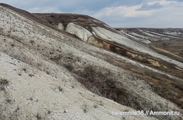 мел, мезозой, верхний мел, сантонский ярус, коньякский ярус, Туронский ярус мел, мезозой, верхний мел, сантонский ярус, коньякский ярус, Туронский ярус