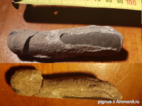 Мои находки. Чехия