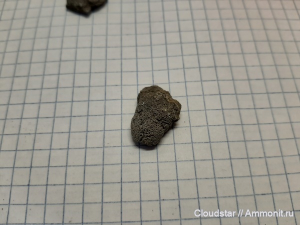 юрский период, мезозой, верхняя юра