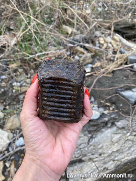 Находки в кашпирском