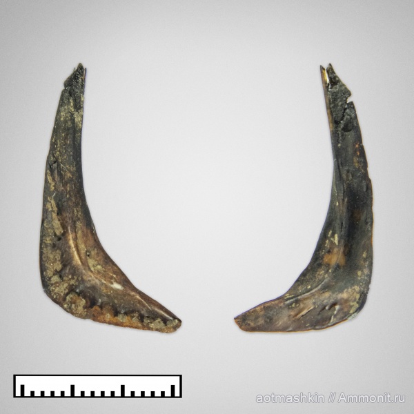 Филёвский парк