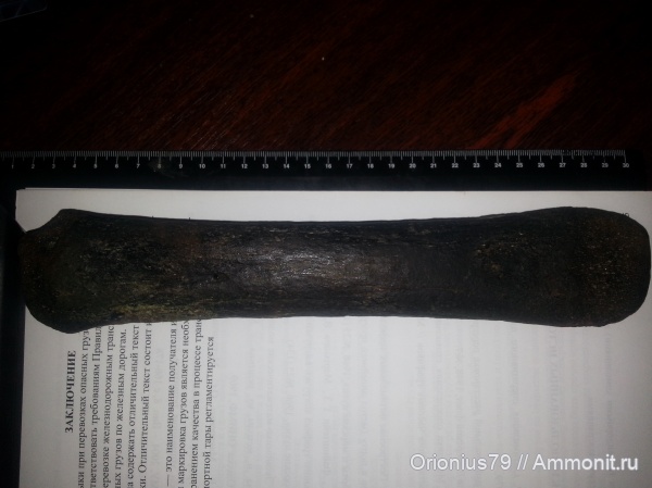 Equs, Ильичевск, Санжейка