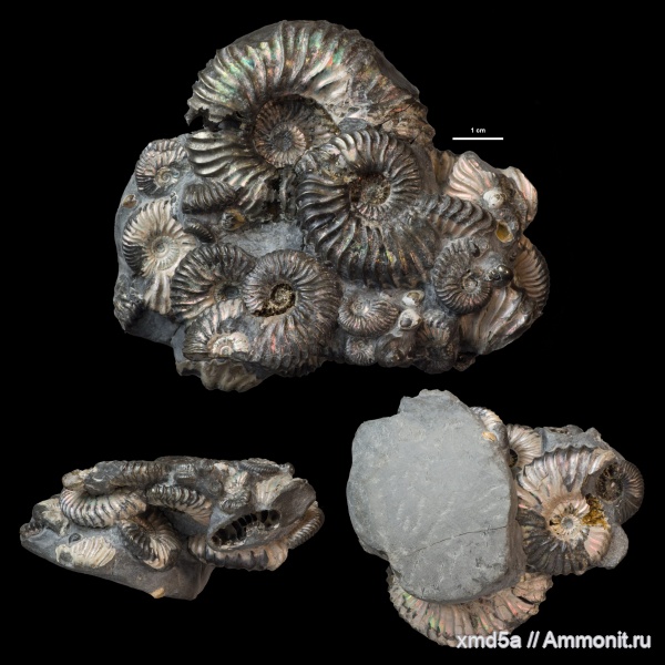 Сызрань, мел