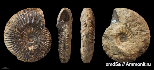 Сызрань, юра