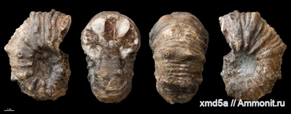 Дагестан, мел