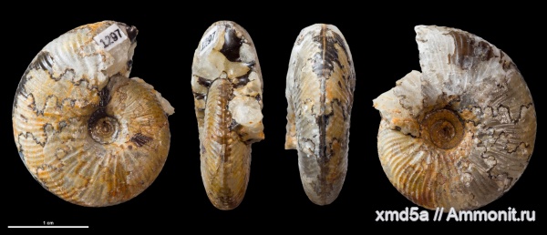 Сызрань, валанжин