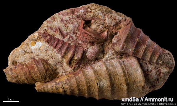 Астраханская область