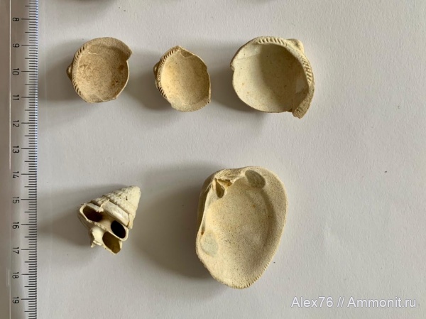 Ribalskiy karier Ukraine Dnipro