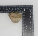 Требуется помощь специалистов