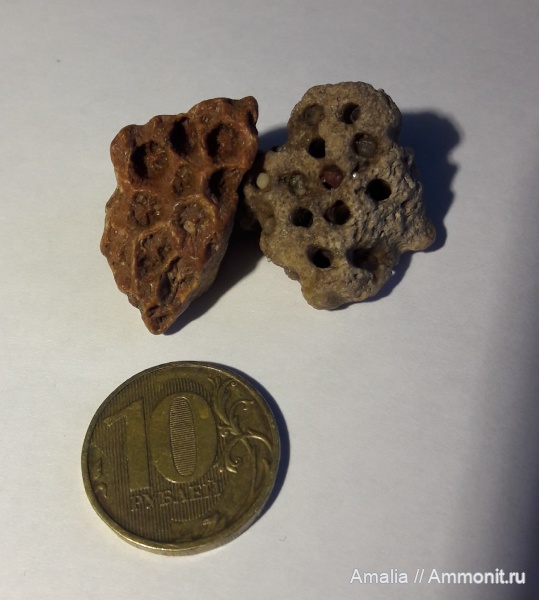 Помогите новичку с определением находок