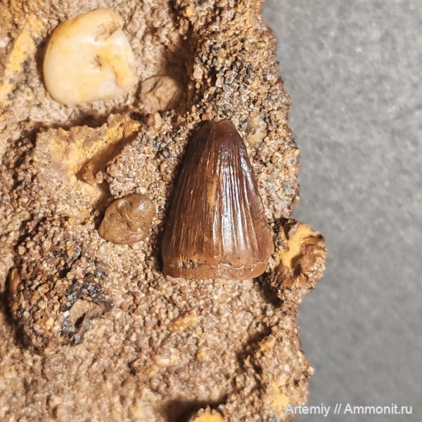 Узбекистан