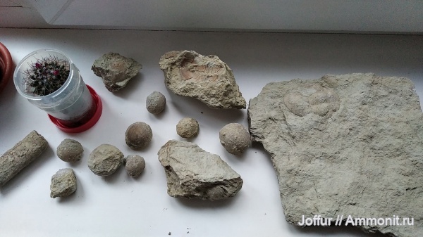 Находочки-находки