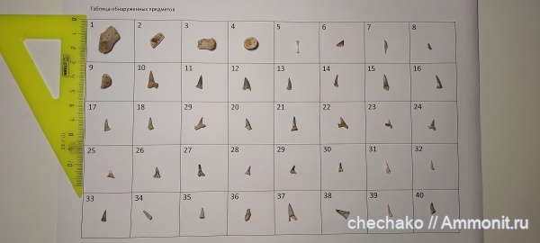 зубы, кости