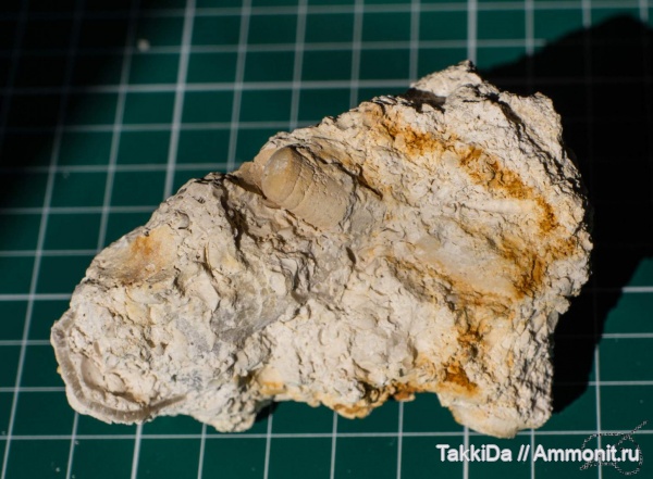 карбон, Домодедово