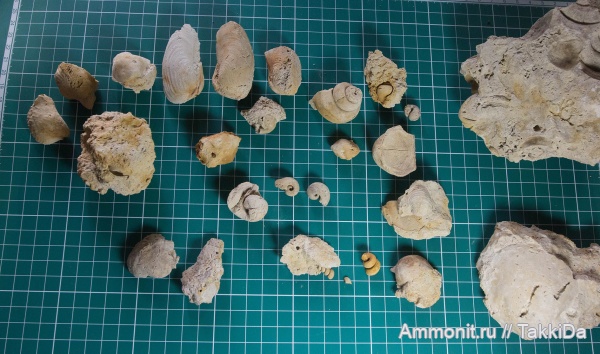 карбон, Гжель