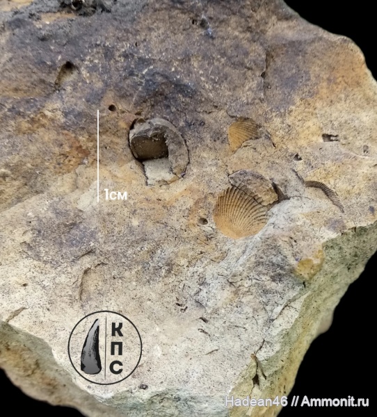 р. Ока, Орёл, КПС