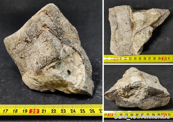 Неопознанное