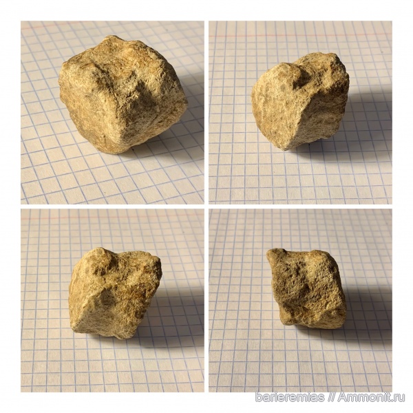 Шмелёвка, 17/10/2021