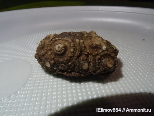 Крым, Судак