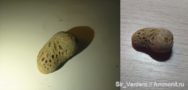 Находки Новгородской области