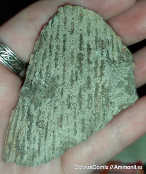 Светлогорск