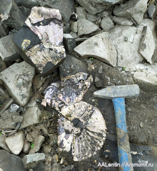 Находки в районе р.п. Цемзавод