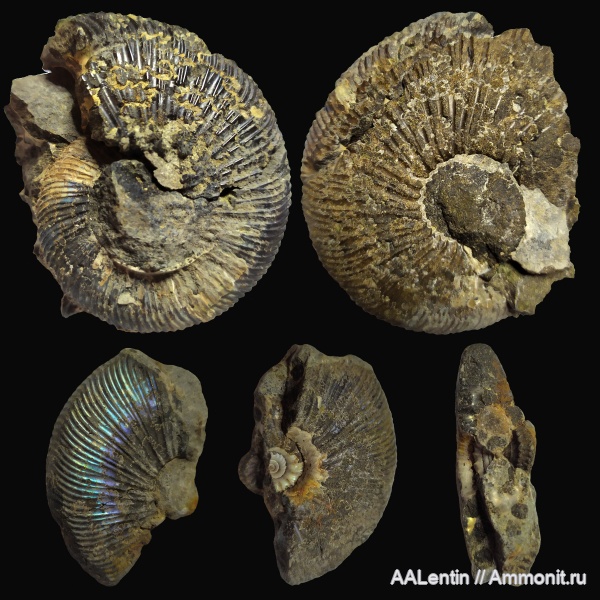 Городищи, Сланцевый Рудник, Вышки