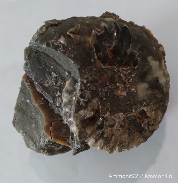 Широкий буерак