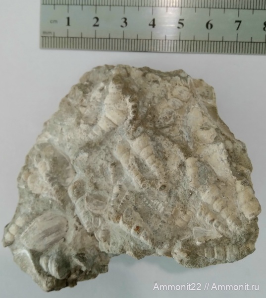 Саратовская область