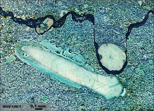 мячковский горизонт