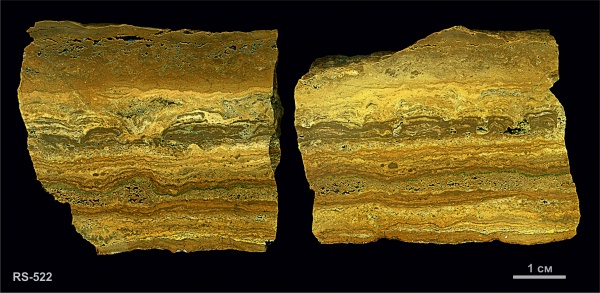 гжельский ярус, строматолиты, Русавкино, верхний карбон